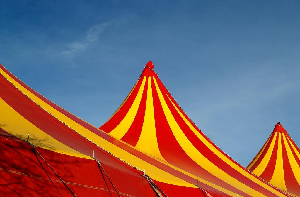 Cirque : Baby cirque, Eveil et Arts du Cirque