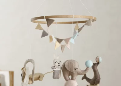 Baby cirque