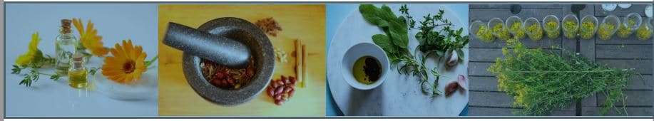Ateliers herboristerie
