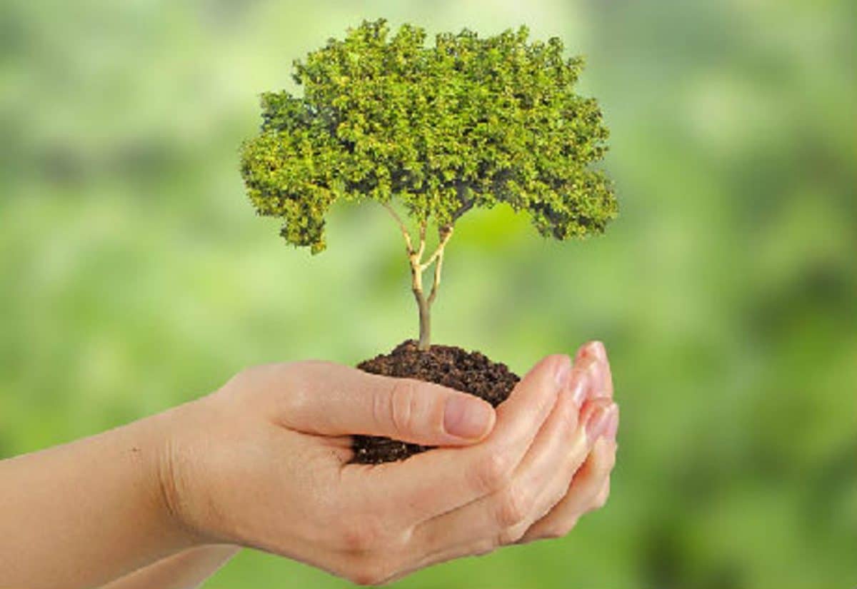 ecologie-strasbourg-solidarite-1200x825